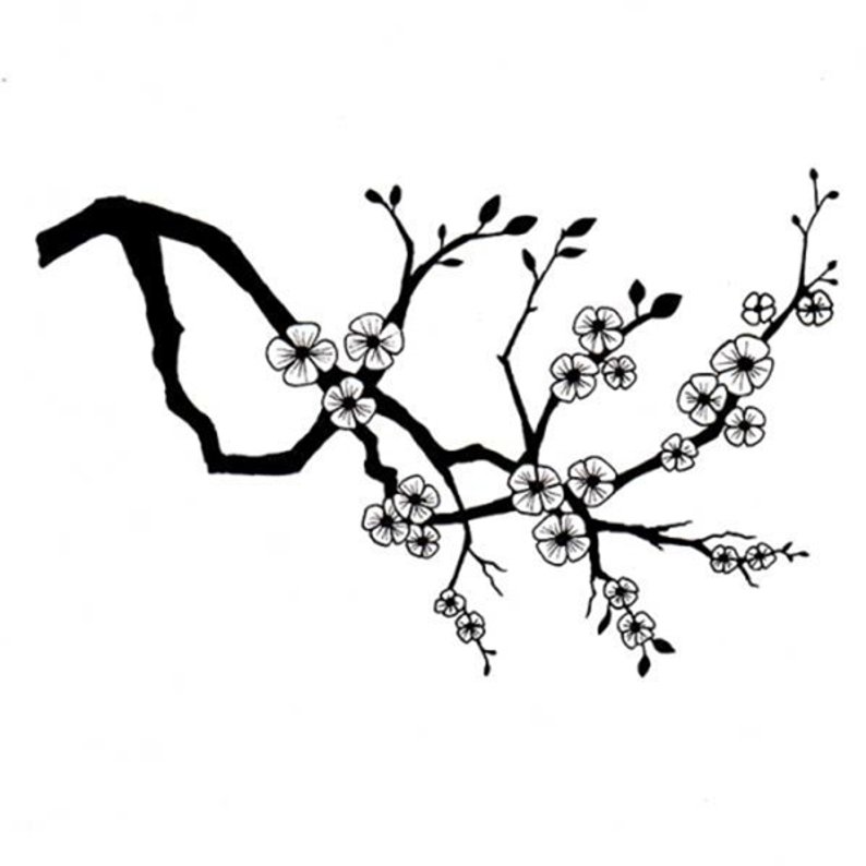 Cherry Blossom Line Drawing | Free download on ClipArtMag