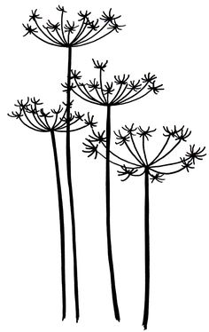 236x374 Cherry Blossom Line Art