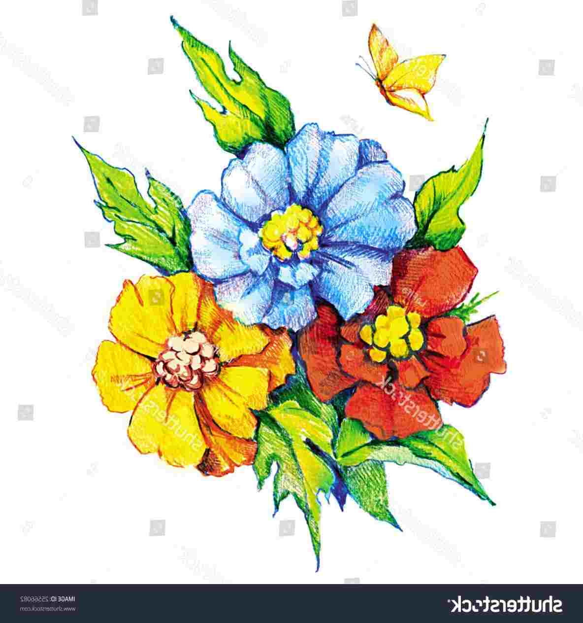 1184x1264 Colored Drawing Stock Rhshutterstockcom Beautiful Beautiful Color