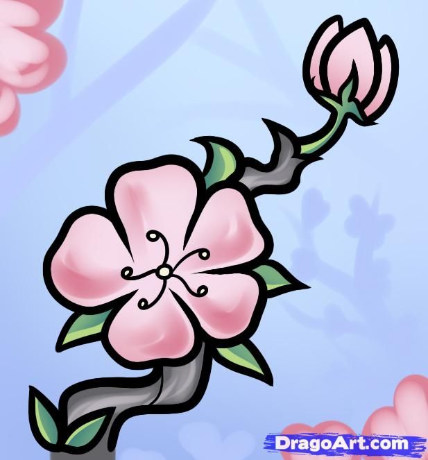 617x663 Easy To Draw Cherry Blossoms How To Draw A Cherry Blossom