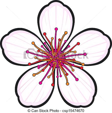 450x453 Cherry Blossom Drawing Oakeydoak