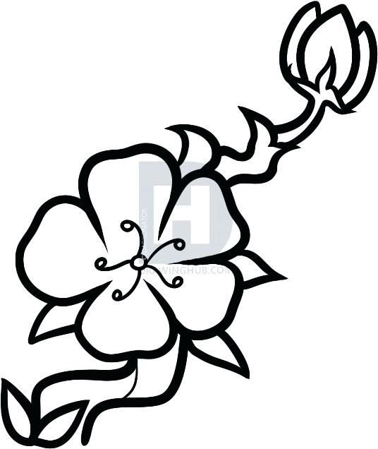 536x636 blossom tree drawing blossom tree drawing easy