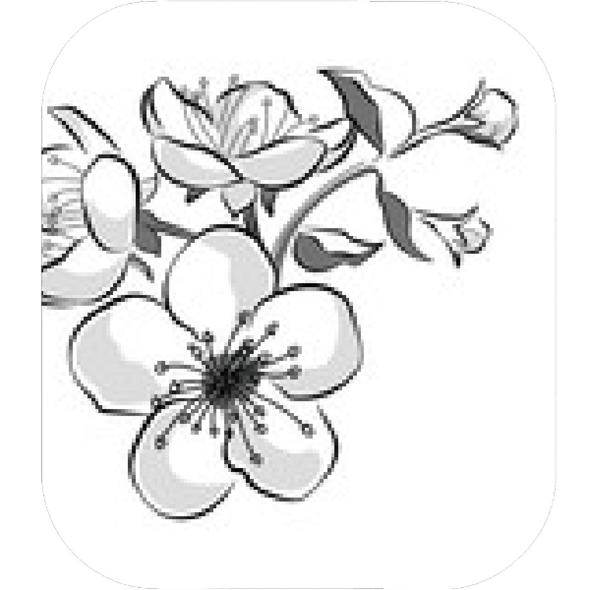 1200x1200 Designs Mein Mousepad Design Mousepad Selbst Designen