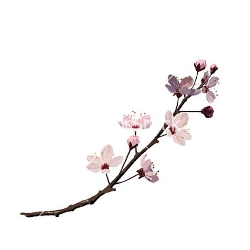 512x512 Google Zoeken Blossom Tattoo, Tattoo Designs, Cherry