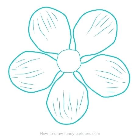 460x461 How To Draw A Cherry Blossom Draw Cherry Blossom Branch Step Step