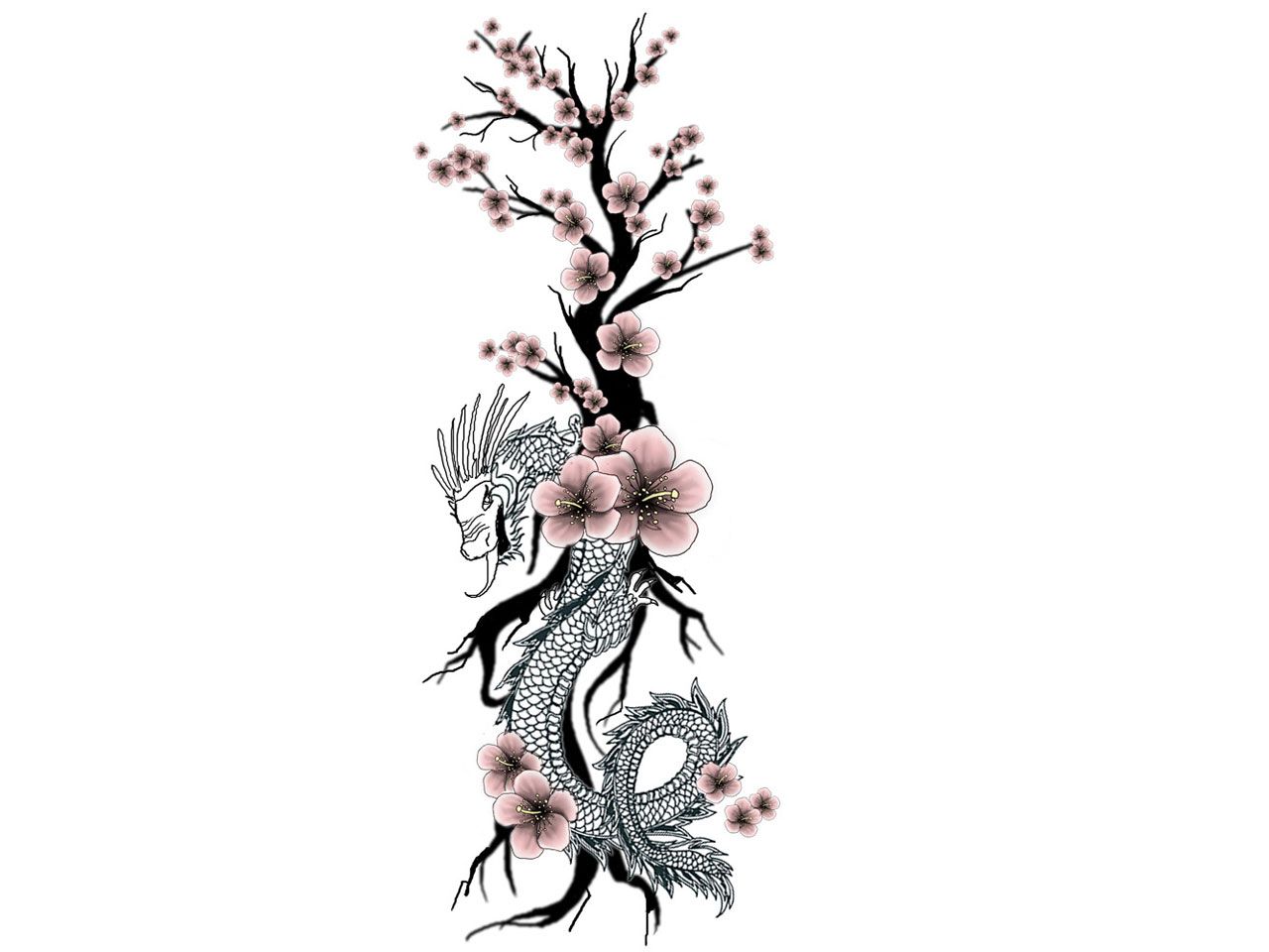 1280x960 Cherry Blossom Tattoo Designs Unique Tribal With Cherry Blossoms