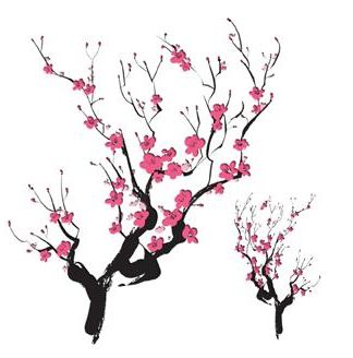 324x328 Cherry Blossom Drawings Clip Art