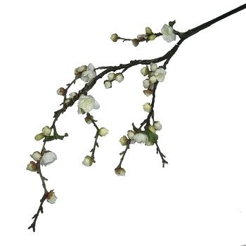 350x350 Blossom Painting Cherry Branch Vector Drawing