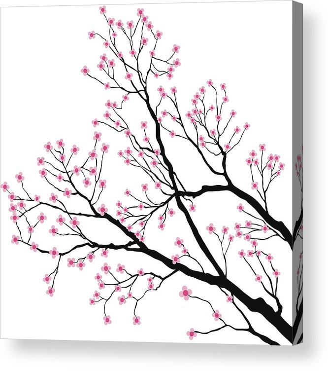 666x752 Tree Branches With Pink Flowers Acrylic Print
