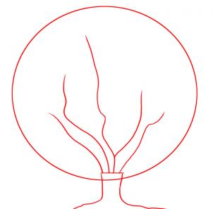 302x297 How To Draw A Cherry Tree, Step