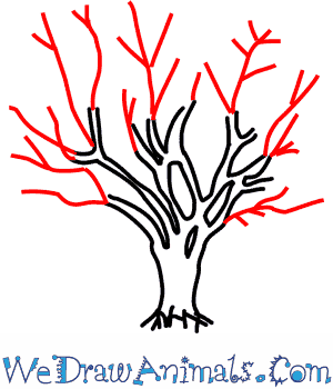 300x350 How To Draw A Cherry Tree