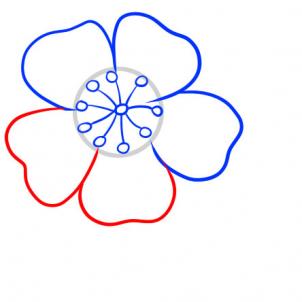 302x302 How To Draw A Cherry Blossom Tree