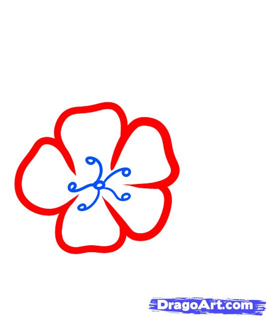 536x636 How To Draw A Cherry Blossom For Kids, Step