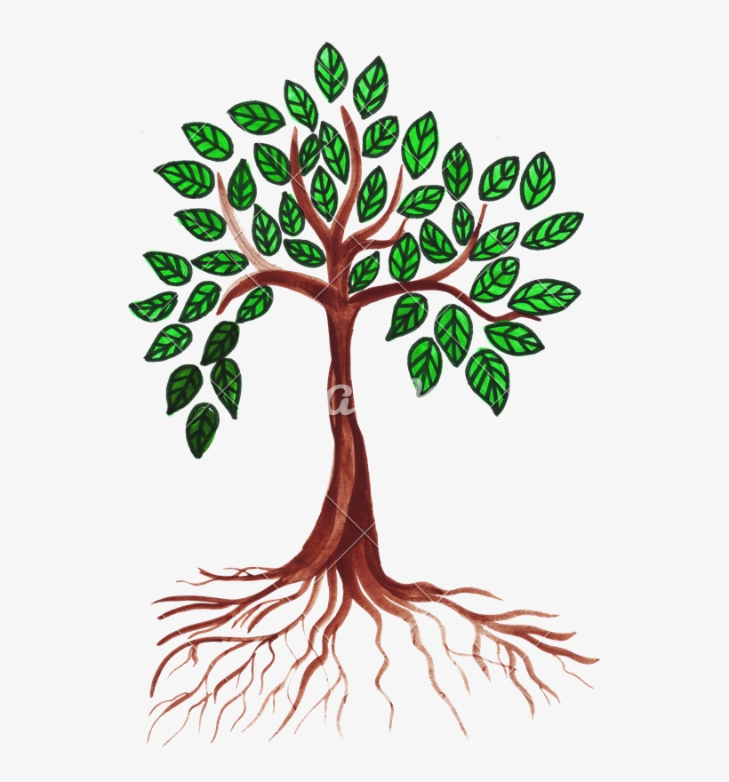 820x880 Of A Tree Photos