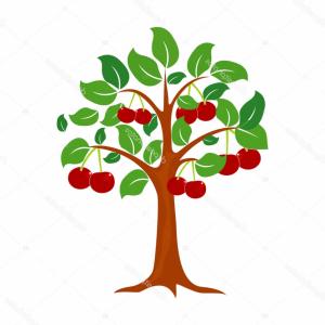 300x300 drawing of cherry blossom tree cherry blossom tree drawing cherry