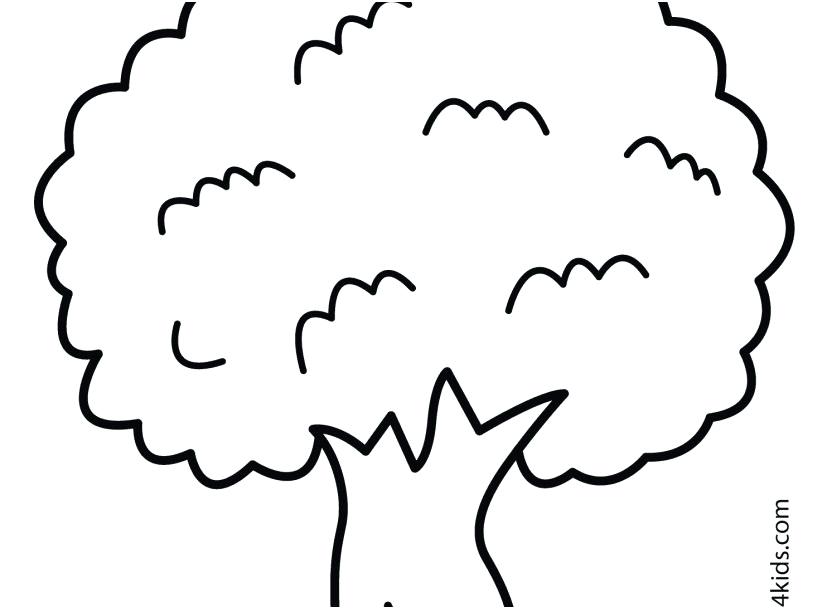 Cherry Blossom Tree Drawing Outline | Free download on ClipArtMag