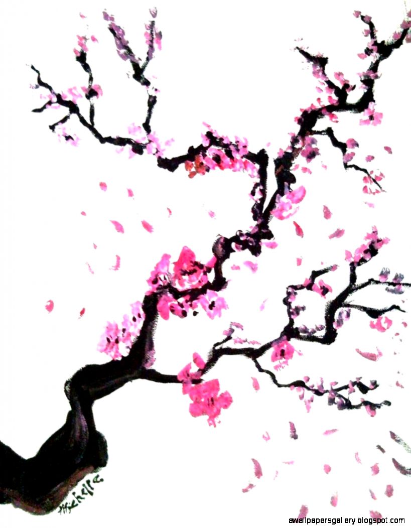 819x1052 Cherry Blossom Tree Drawing Step