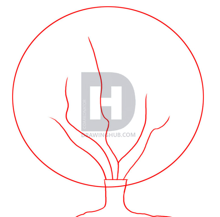 732x720 How To Draw A Cherry Tree, Step