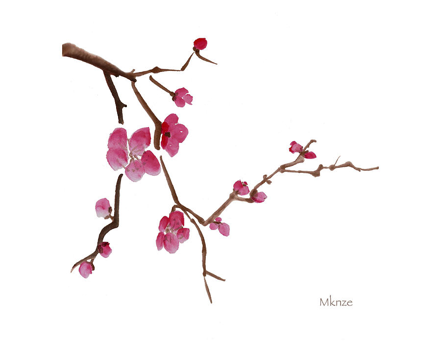 900x707 Huge Collection Of 'chinese Cherry Blossom Drawing' Download More