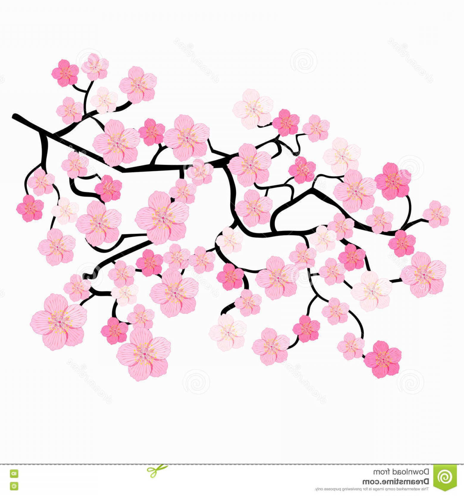 Cherry Blossom Tree Drawing Step By Step | Free download on ClipArtMag