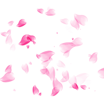 360x360 Cherry Blossom Gif Download Free Clipart With A Transparent Background