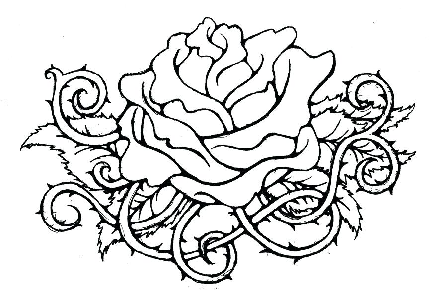900x598 Roses Line Drawing How To Draw Roses Rose Line Drawing Simple