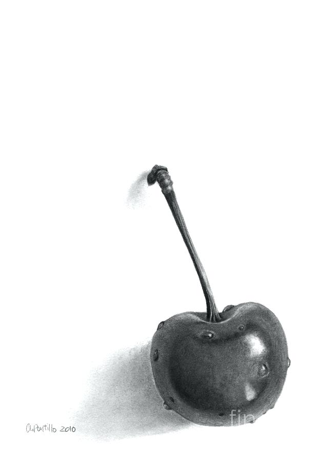 632x900 Cherry Drawing Drawing Fruit Cherries Cherry Tree Drawing Step