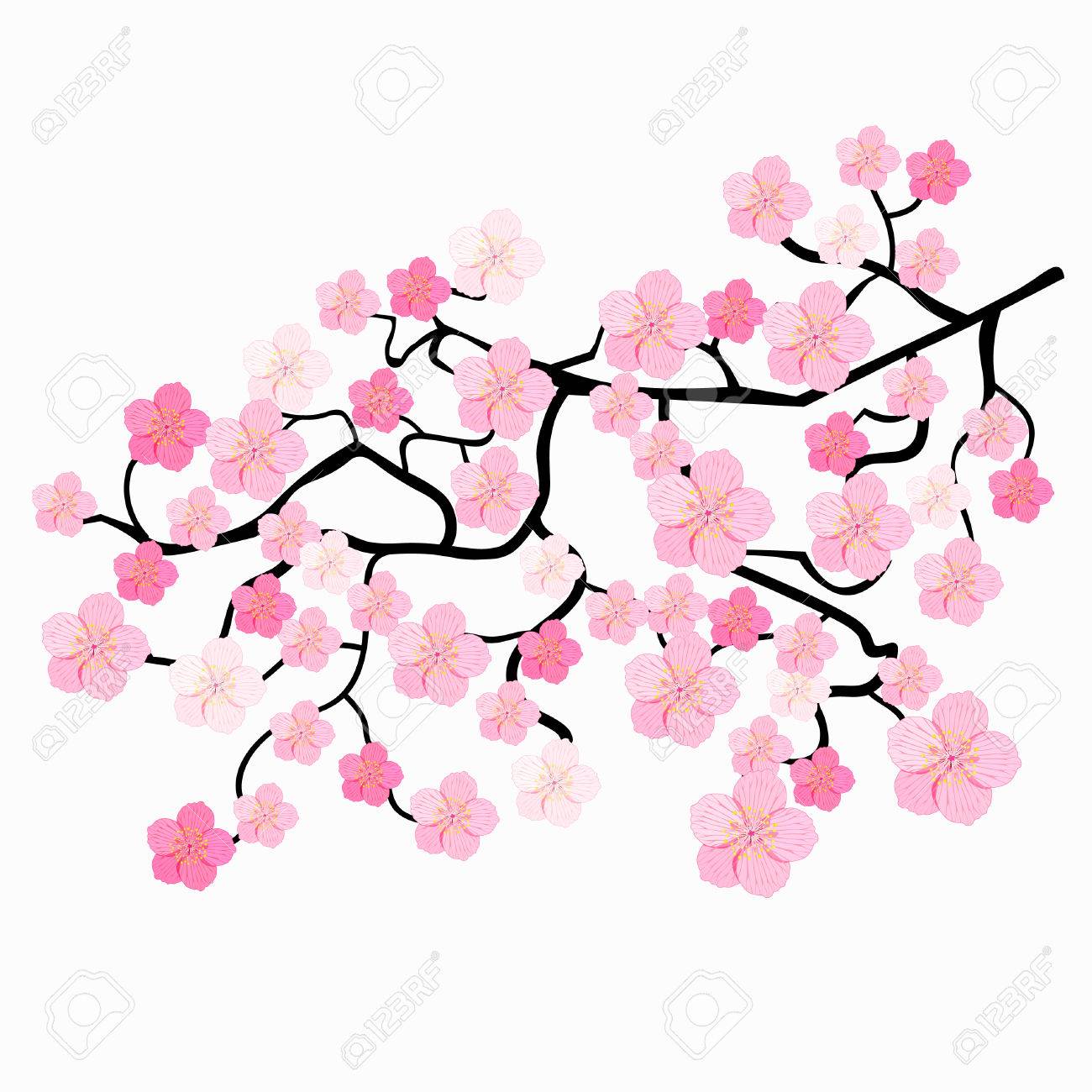 Cherry Blossom Tree Pencil Drawing | Free download on ClipArtMag