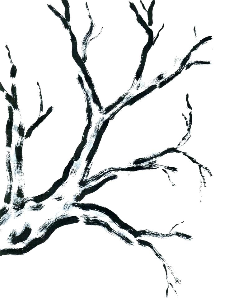 736x958 Printable Tree Trunk Templates Branch Template Cherry Blossom