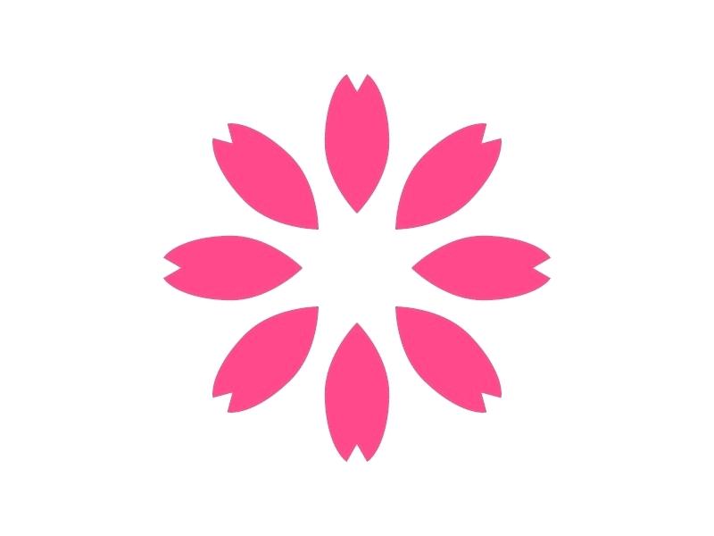 800x600 Sakura Flower Drawing Hoteles