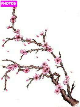 261x350 cherry blossoms on the foot or hip get inked blossom tree