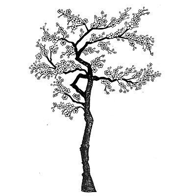 400x400 Cherry Blossoms Coloring Pages Best Of Cherry Blossom Tree Drawing