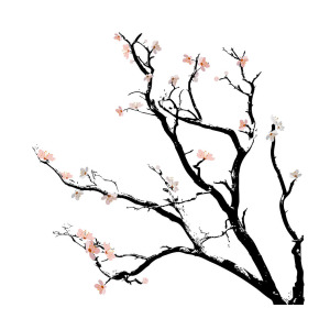 300x300 Cherry Blossoms Tree Digital Art