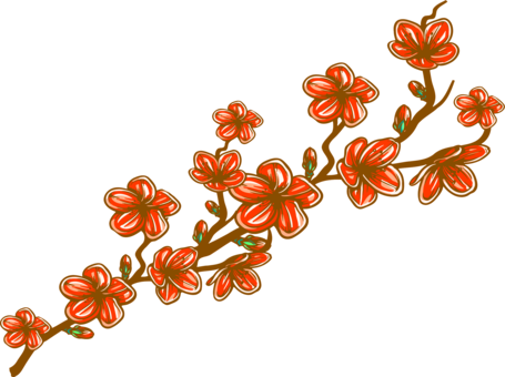 455x340 Cherry Blossom Tree Branch Download Cc0