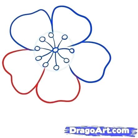 444x444 How To Draw Cherrys Easy To Draw Cherry Blossoms How To Draw