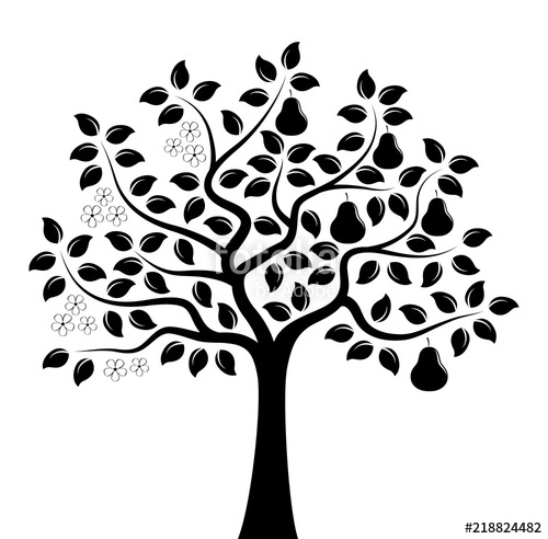 500x492 Cherry Tree In Two Seasons Stock Image And Royalty Free Vector