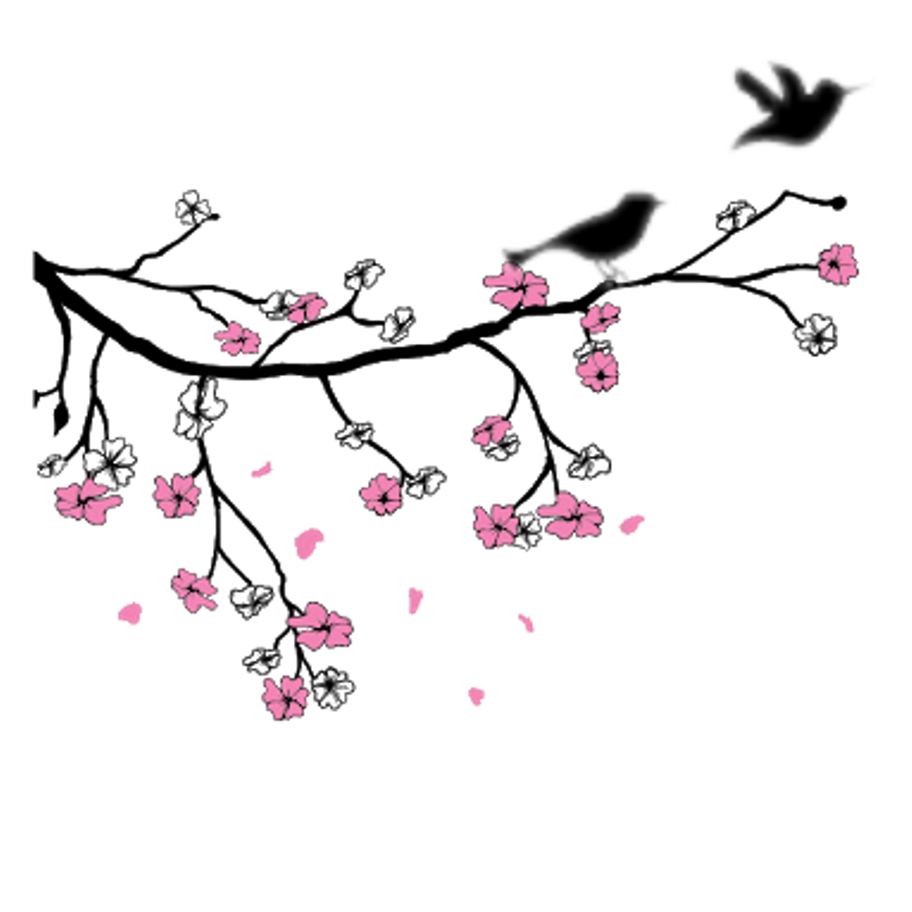 1024x1024 Blossom Drawing Bird Transparent Png Clipart Free Download