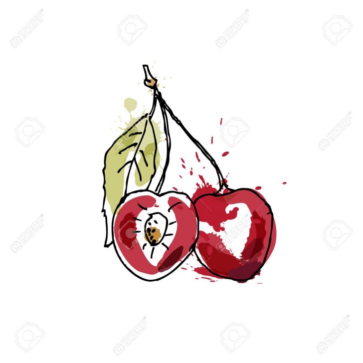 728x728 Cherry Drawing Tutorial Charcoal Blossom Chalk Black And White