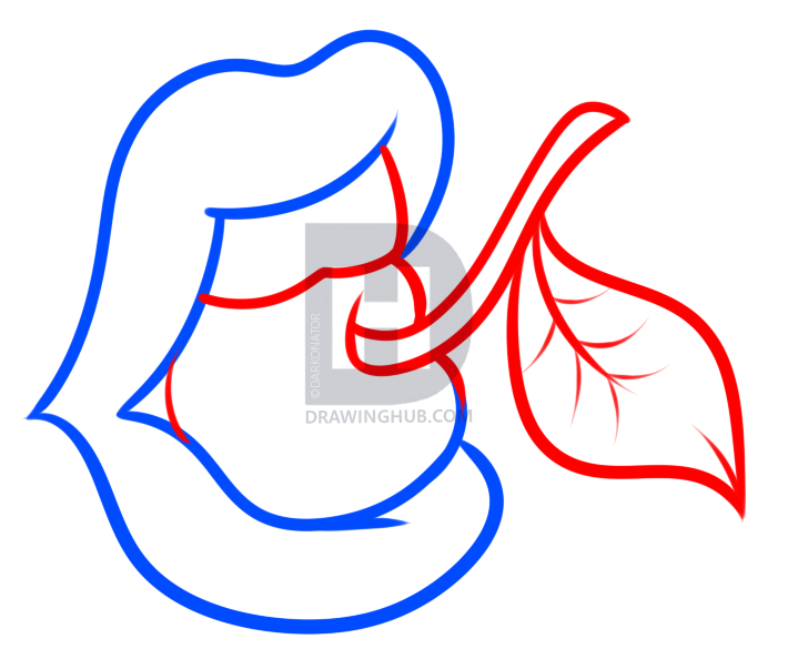 710x603 How To Draw Vintage Cherry Lips, Step