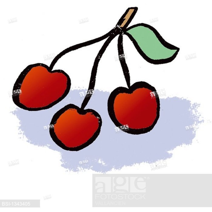 700x700 Cherry, Drawing, Stock Photo, Picture And Rights Managed Image