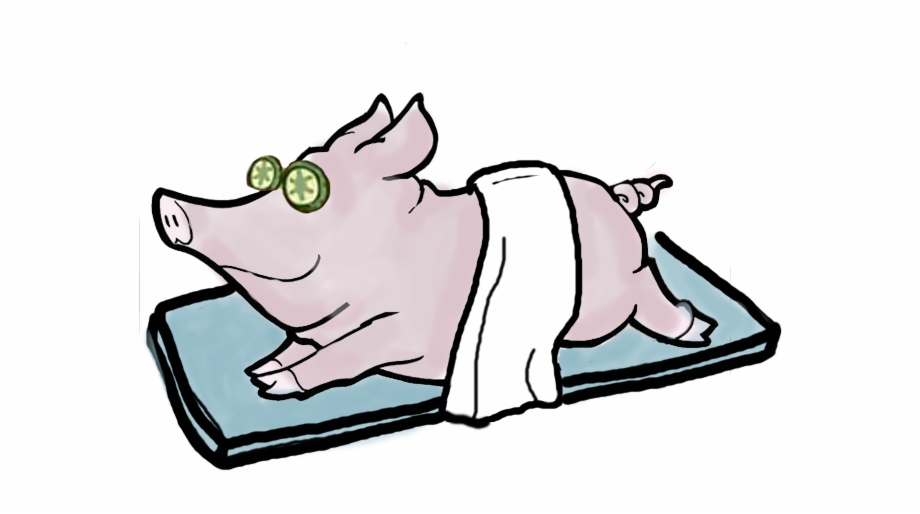 920x514 Pigs With Wings Drawings Free Png Images Clipart Download