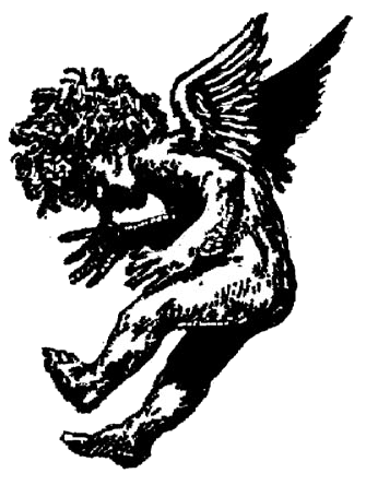 335x444 spiritus pizza a family run pizza joint in provincetown ma