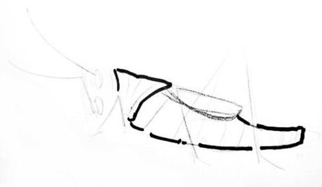 470x274 How To Draw A Grasshopper