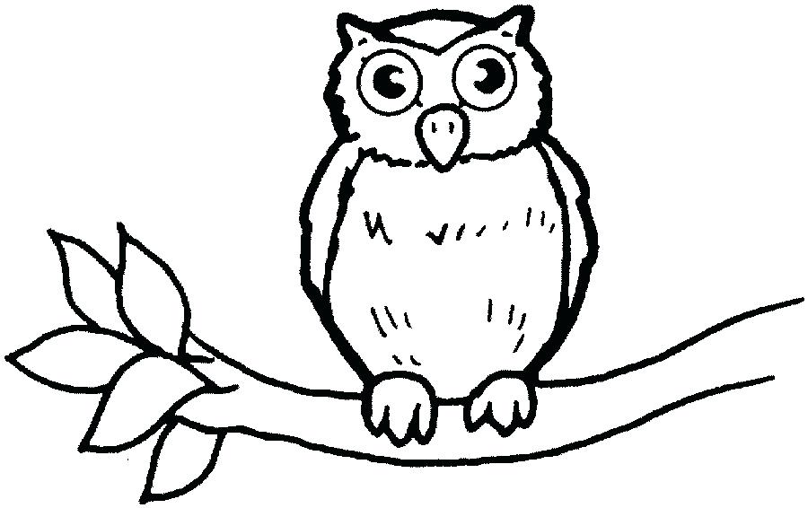 900x566 Owl Outline Animal Outline Drawings Owl Chest Tattoo Outline