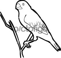 200x191 Conceptual Freehand Drawing Icon From Pictofigo For Chestnut Munia