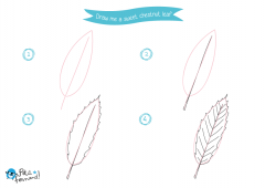 240x170 Draw Me Leaves