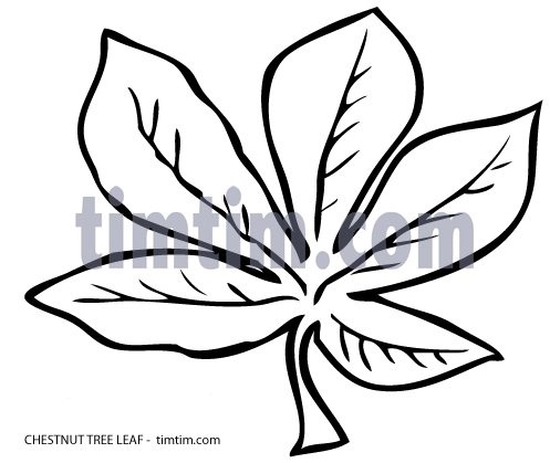 497x419 Free Drawing Of Leaf Chestnut Tree Bw From The Category Climate