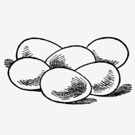 279x279 Egg Drawing For Free Download