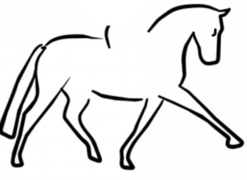 800x583 German Riding Pony Gelding Years Hh Chestnut Red