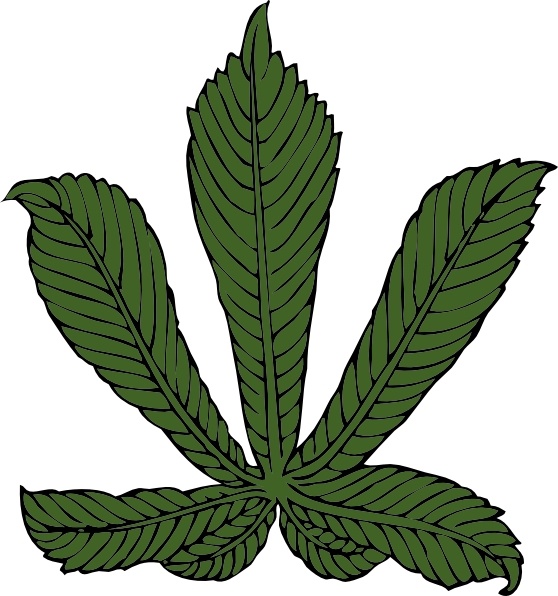 558x596 Horse Chestnut Leaf Clip Art Free Vector In Open Office Drawing